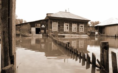 Barnaul, Rusya-22 Haziran 2020. Altai Bölgesi 'ndeki Ob Nehri' nde sel