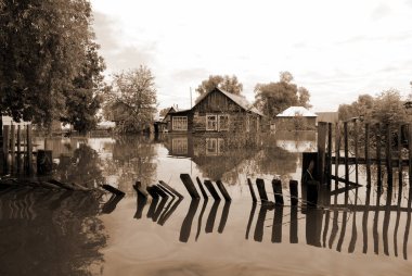 Barnaul, Rusya-22 Haziran 2020. Altai Bölgesi 'ndeki Ob Nehri' nde sel