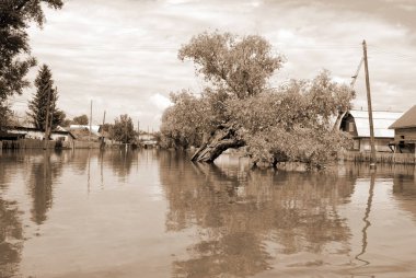 Barnaul, Rusya-22 Haziran 2020. Altai Bölgesi 'ndeki Ob Nehri' nde sel