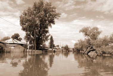 Barnaul, Rusya-22 Haziran 2020. Altai Bölgesi 'ndeki Ob Nehri' nde sel