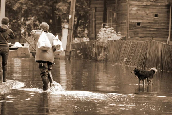 Barnaul Russia June 2020 Flood River Altai Territory — Stock Photo, Image