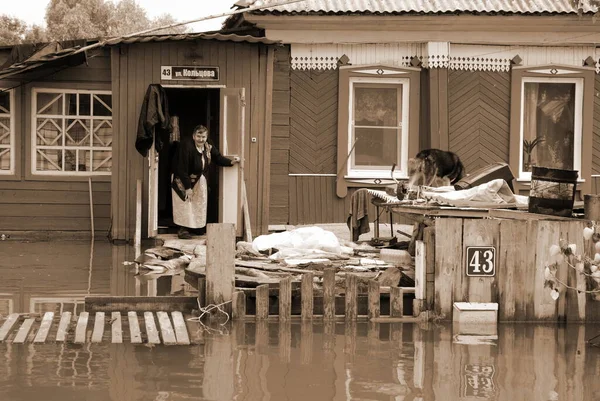 Barnaul Rússia Junho 2020 Inundação Rio Território Altai — Fotografia de Stock