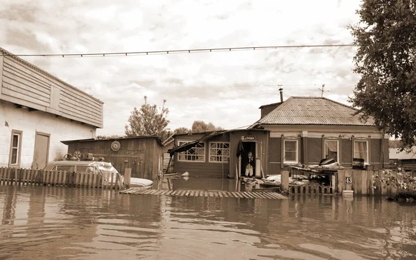 Barnaul Ρωσία Ιουνίου 2020 Πλημμύρα Στον Ποταμό Στην Περιοχή Altai — Φωτογραφία Αρχείου