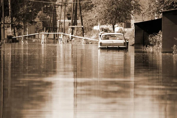 Barnaul Russia June 2020 Flood River Altai Territory — Stock Photo, Image