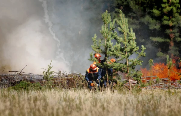 Firefighters Inscription Russian Emercom Russia Extinguish Forest Fire Reserve Summer — Stock Photo, Image