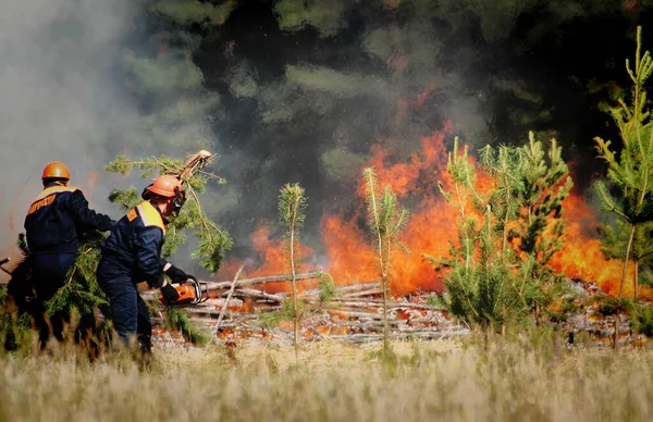 Firefighters Inscription Russian Emercom Russia Extinguish Forest Fire Reserve Summer — Stock Photo, Image