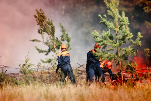 Palomiehet Joilla Merkintä Venäjäksi Emercom Russia Sammuttavat Metsäpalon Reservissä Kesäpäivänä — kuvapankkivalokuva