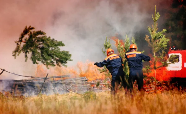 Palomiehet Joilla Merkintä Venäjäksi Emercom Russia Sammuttavat Metsäpalon Reservissä Kesäpäivänä — kuvapankkivalokuva