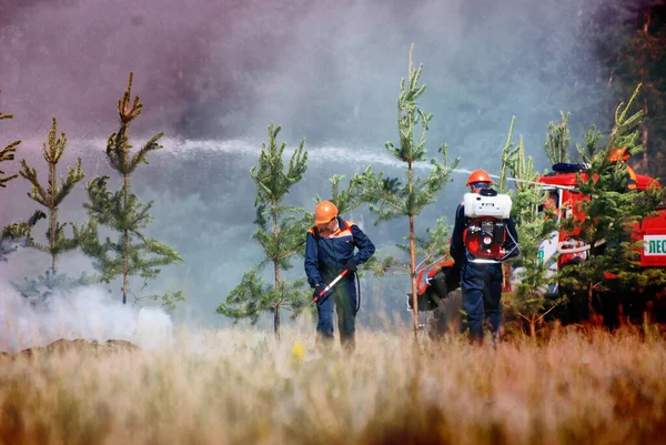 Barnaul Rusia Agosto 2021 Bomberos Apagan Incendio Forestal Reserva Día — Foto de Stock