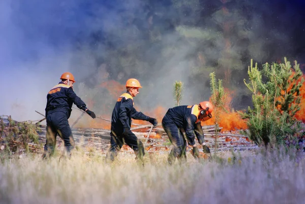 Barnaul Rússia Agosto 2021 Bombeiros Extinguem Incêndio Florestal Reserva Dia — Fotografia de Stock