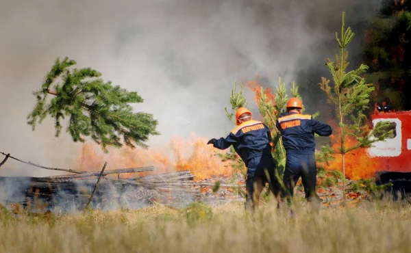 Bombeiros Com Inscrição Russo Emercom Russia Extinguem Incêndio Florestal Reserva — Fotografia de Stock