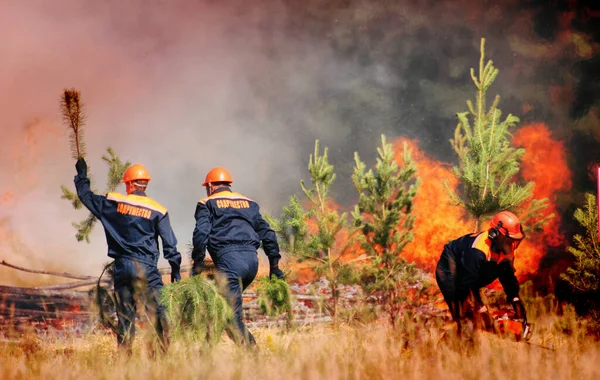 Palomiehet Joiden Kaiverrus Maailmainyhteisö Sammuttavat Metsäpalon Reservissä Kesäpäivänä — kuvapankkivalokuva