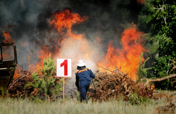 Palomiehet Joiden Kaiverrus Maailmainyhteisö Sammuttavat Metsäpalon Reservissä Kesäpäivänä — kuvapankkivalokuva