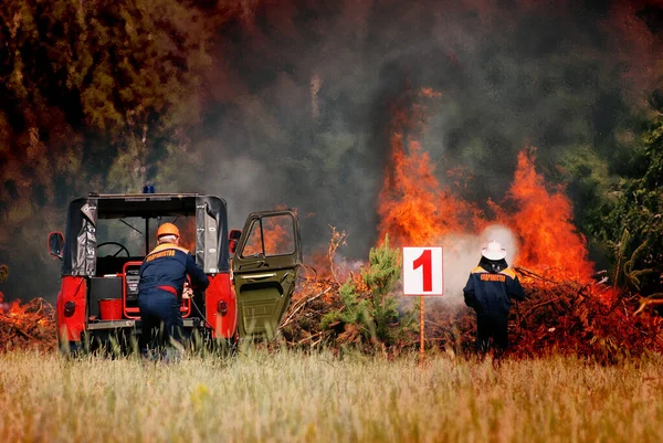 Palomiehet Sammuttavat Metsäpalon Kesäpäivänä — kuvapankkivalokuva