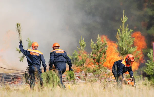 İtfaiyeciler bir orman yangını söndürmek