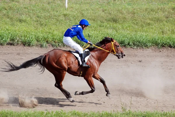 Bir jokey ile bir at yarış pistinde çalışır
