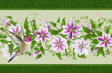 yatay çiçek kenar beyaz clematis çiçek, kuş