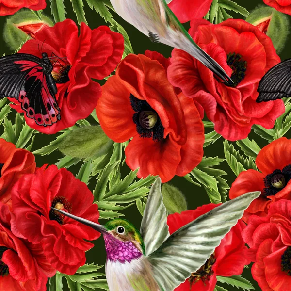 Kwiatowy wzór bez szwu czerwone kwiaty Maki, wielki czarny motyl — Zdjęcie stockowe
