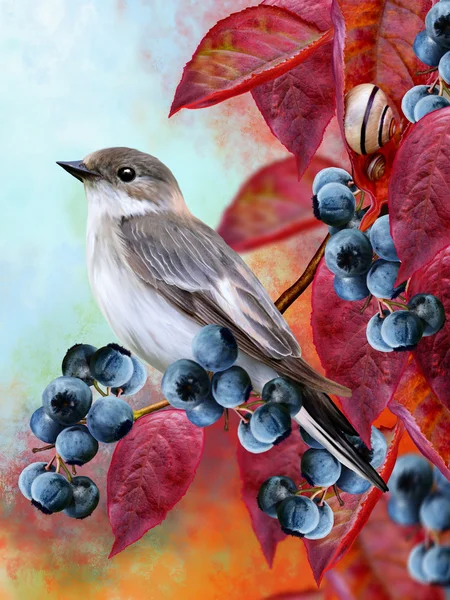 little gray bird, red autumn leaves, twigs of blueberry, small snails, autumn landscape