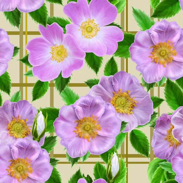 Patrón floral rosa sin costura rosa salvaje, hojas verdes — Foto de Stock