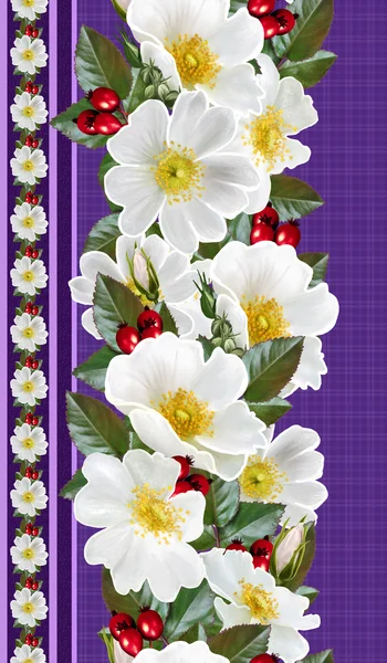 Borda floral vertical branco selvagem rosa, folhas verdes, rosehips vermelho, padrão, sem costura — Fotografia de Stock