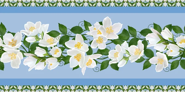 Borde floral horizontal, patrón, sin costuras. Jazmín blanco — Foto de Stock