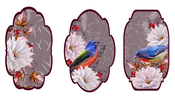 Белые винтажные цветы, голубая птица, листва, красные ягоды. Установите ярлыки. Карточка, приглашение, визитка. Цветочный узор . — стоковое фото