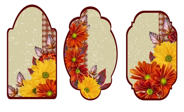 Set labels. Card, invitation, business card. Flower pattern. Chrysanthemum flowers. The composition of orange and yellow chrysanthemums. Autumn colorful leaves. — Zdjęcie stockowe