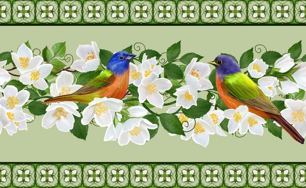 Den ljusa fågeln på en gren av en blommande vit jasmin på våren. Horisontella blomster gränsen. Mönster, sömlös. — Stockfoto