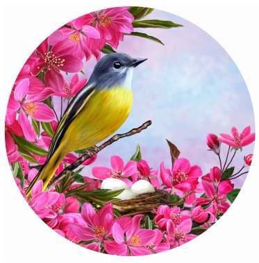 Round form. Yellow small bird on a branch of a blossoming apple tree in spring red paradise. Circle.