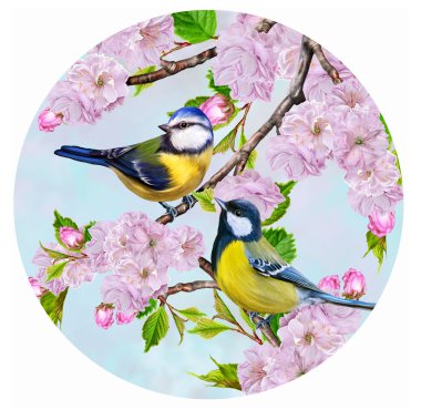 Daire içinde baharda sakura kiraz çiçekleri bir dalı üzerinde iki kuş titmouse. Yuvarlak şekil. Resim.