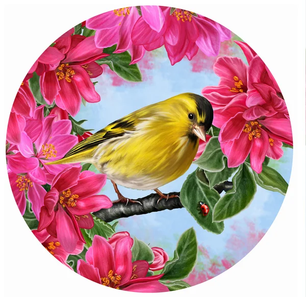 Little yellow bird on a background of a blossoming apple-tree paradise. Circle. Round shape. Painting. — Stockfoto