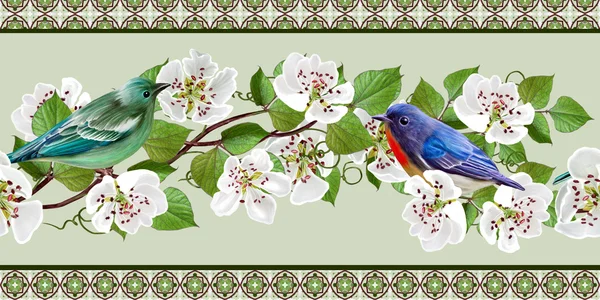 Blommig kant horisontellt. Vita blommor. Blommande träd. Vårblomning. Blue Bird. — Stockfoto