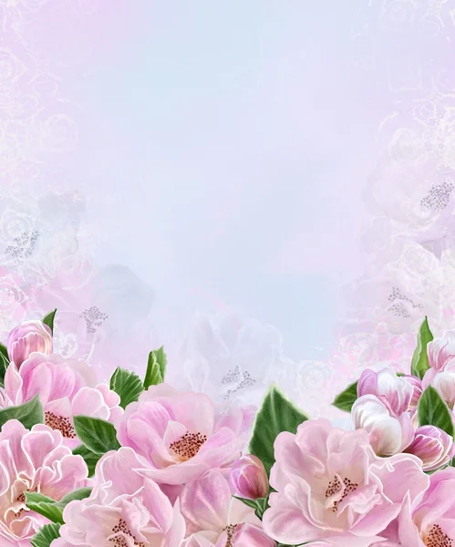 Квітучі дерева. Квітковий фон. Рожеві квіти. Яблуня в цвітіння . — стокове фото