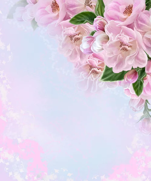 Blooming trees. Floral background.Pink flowers. An apple tree in bloom. — 스톡 사진