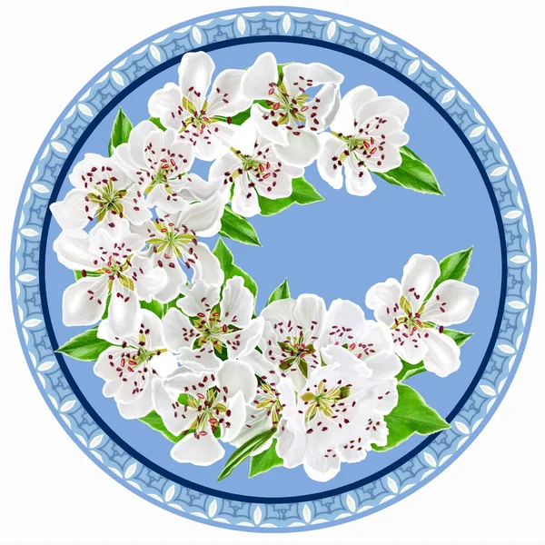 The branch of a flowering pear. White flowers. Blooming trees. Round form, circle, painting. Flower pattern. — Stock fotografie