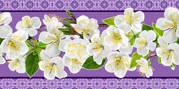 Motivo orizzontale bordo floreale, senza soluzione di continuità, fiore di ciliegio bianco — Foto Stock