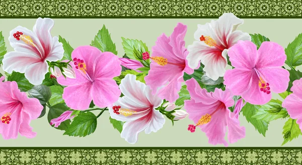 Patrón de borde floral horizontal, sin costuras, hibisco blanco y rosa, hojas verdes, exóticas, flores tropicales — Foto de Stock