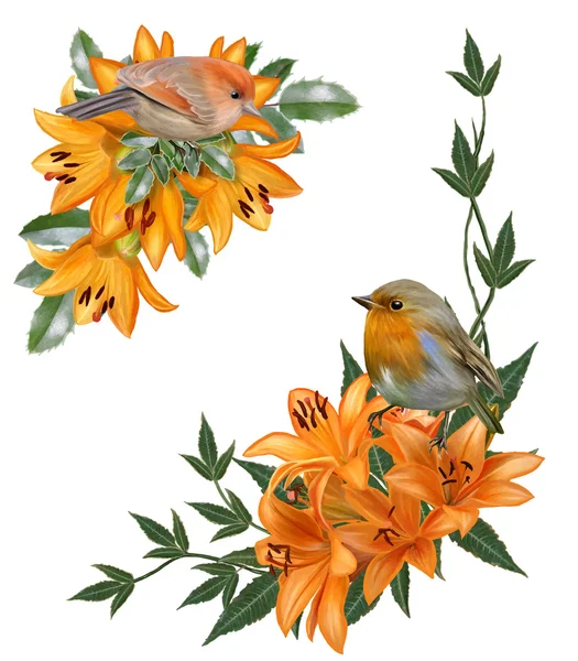 Composición de dos pajaritos sobre el fondo de colores brillantes de lirios anaranjados — Vector de stock