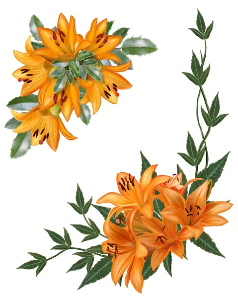 Arrangement two bouquets of flowers orange lily — Stock Vector