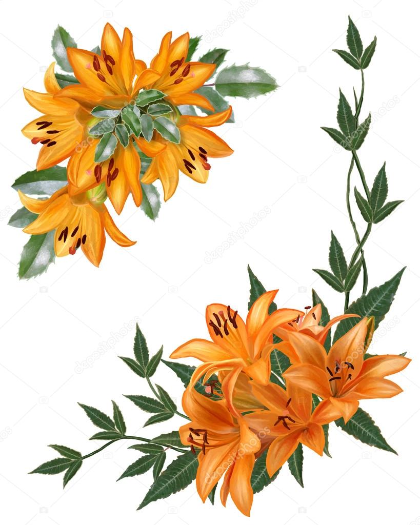 Arrangement two bouquets of flowers orange lily