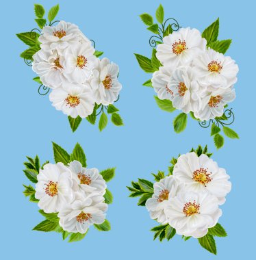 Ayarlamak. Beyaz gül buketi. Izole.