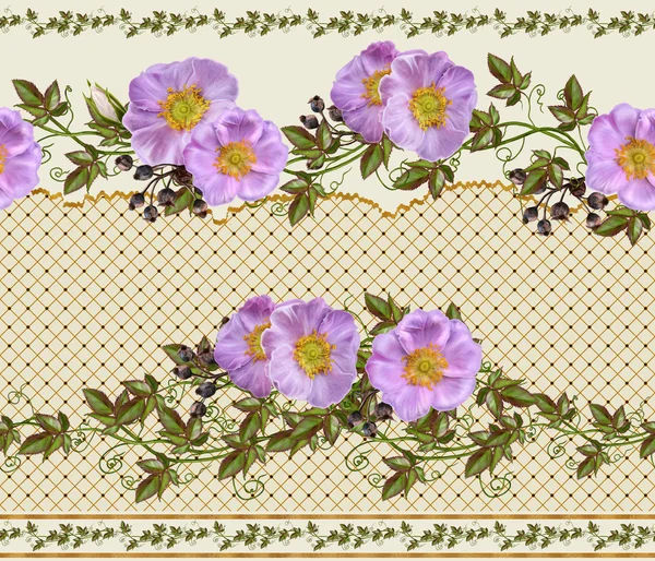 Horizontale bloemen rand. Patroon, naadloos. Garland. Tak van roze rozenbottels en bessen. — Stockfoto