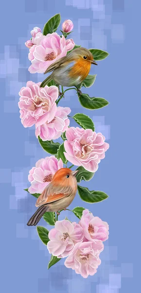 Deux oiseaux orange vif sur une branche de fleurs de pomme rose. Floraison de printemps . — Photo