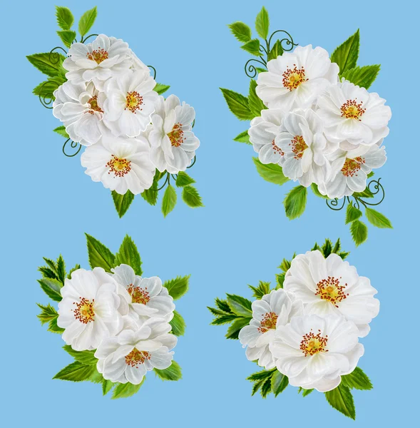 Nastavit. Kytice bílých růží. Izolované. — Stock fotografie