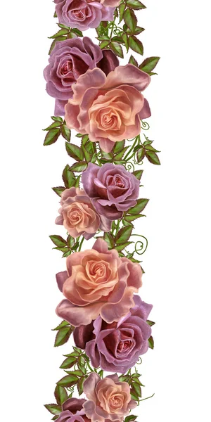 Borda floral vertical. Padrão, sem costura. Ornamento de rosas, isolamento. Estilo antigo . — Fotografia de Stock