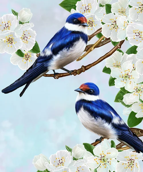 Blauwe zwaluw op een tak van een bloeiende boom. Lente bloei. — Stockfoto