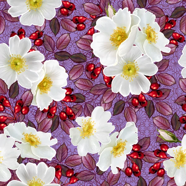 Schema, senza soluzione di continuità. Composizione floreale. Il ramo di una rosa selvatica bianca e bacche rosse. Fioritura primaverile . — Foto Stock