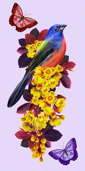 La rama de la zarzamora en flor. Un pájaro azul brillante. Floración de primavera. Flores amarillas. Mariposa roja . —  Fotos de Stock