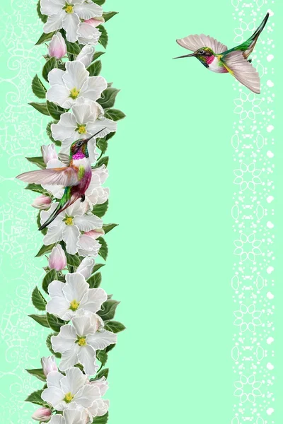 Bordo floreale verticale. Ghirlanda di fiori di meli in fiore, colibrì di piccoli uccelli, sfondo floreale . — Foto Stock